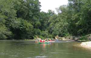 Some kayakers